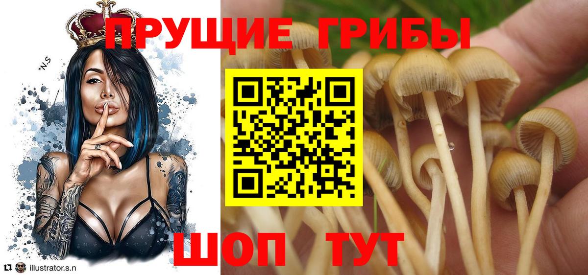 Мефедрон Мытищи
